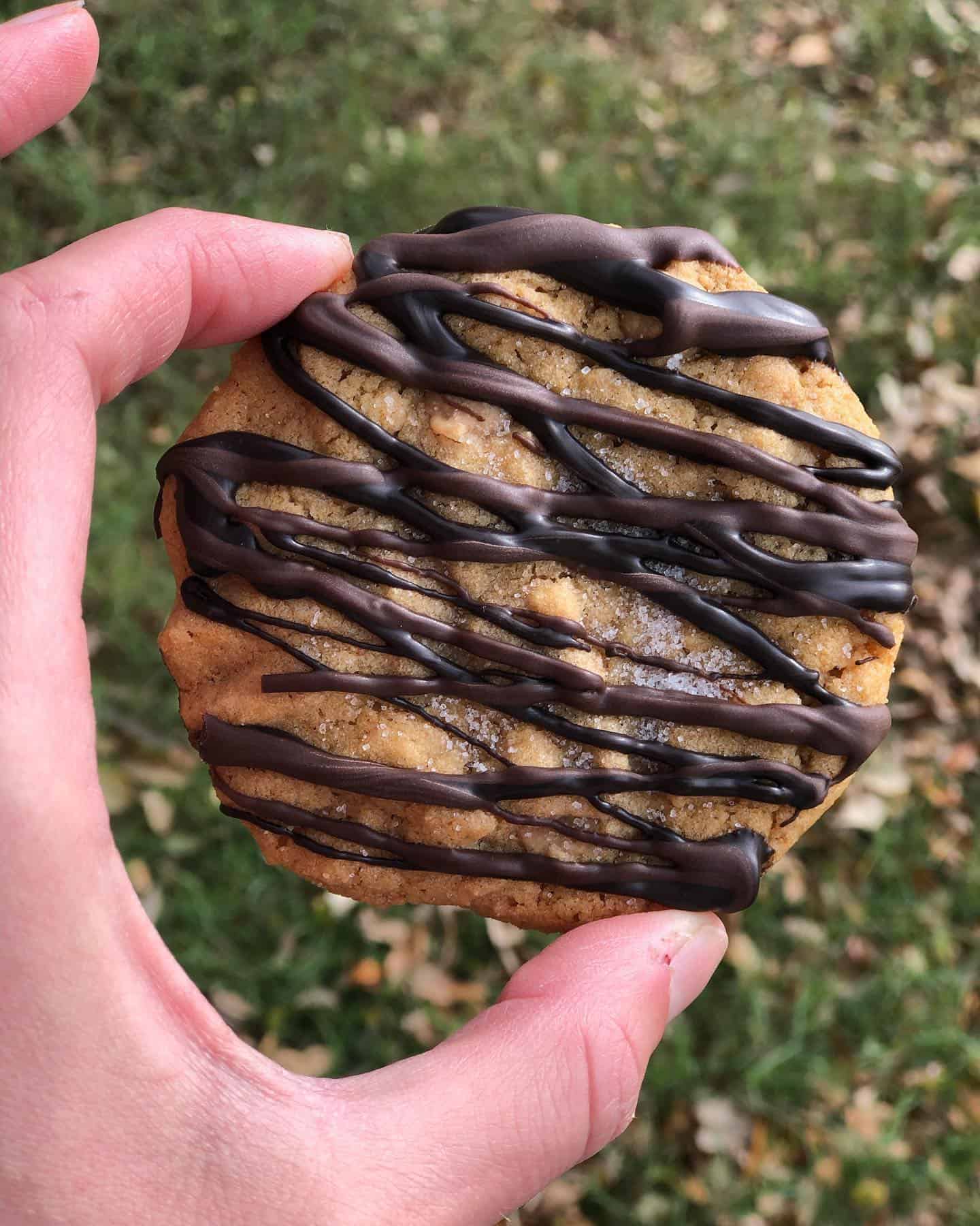 Peanut Butter cookies with dark chocolate drizzled on top 🤤. This is one of my favorite cookies out of my Christmas cookie box I made 🍪. It’s super simple and not from scratch but my goodness it tastes good!! Link in bio and story 👀👀
•
•
•
•
#cookies #cookiesofinstagram #peanutbutter #peanutbuttercookies #cookie #wifeofahunter #fueledbynature #wifeofahuntercooks #woah #dessertrecipe #wewillnotbetamed #foodiegirl #reeses #darkchocolate #cookies🍪 #chocolatecookies #foodblogger #foodofinstagram #foodielife #deliciousfood #cheatmeal #chocolatecookie #ilovefood #foodielife #dessertsofinstagram #cookiesofig #foodiesfeed #desserts #dessertporn